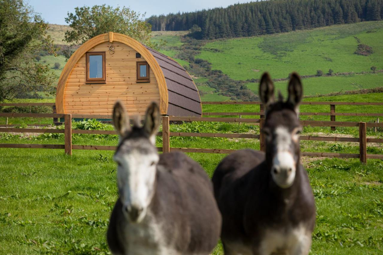 Vila Luxury Two-Bed Glamping Pod In County Clare 2 Kilbane Exteriér fotografie