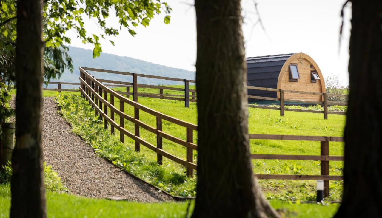 Vila Luxury Two-Bed Glamping Pod In County Clare 2 Kilbane Exteriér fotografie