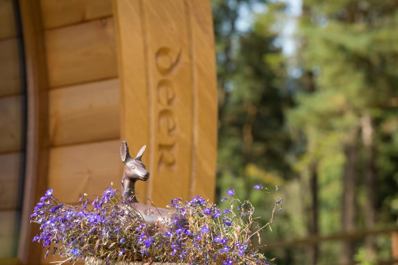 Vila Luxury Two-Bed Glamping Pod In County Clare 2 Kilbane Exteriér fotografie