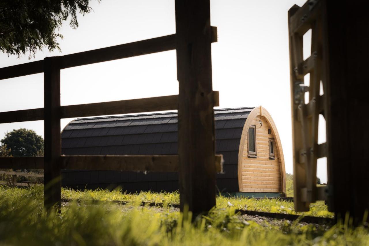 Vila Luxury Two-Bed Glamping Pod In County Clare 2 Kilbane Exteriér fotografie
