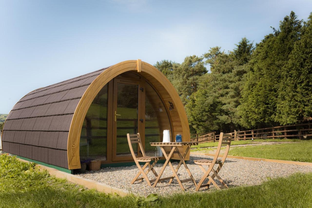 Vila Luxury Two-Bed Glamping Pod In County Clare 2 Kilbane Exteriér fotografie