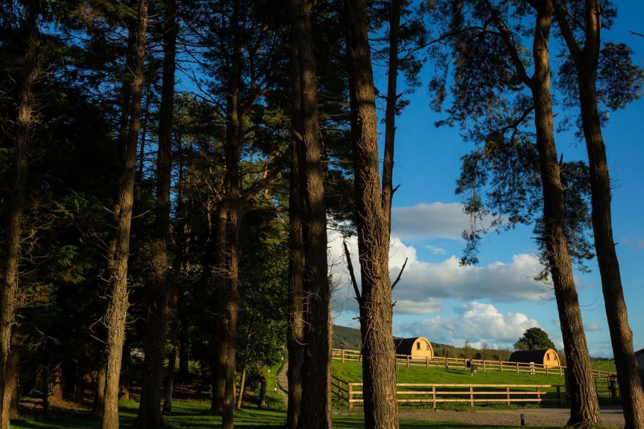 Vila Luxury Two-Bed Glamping Pod In County Clare 2 Kilbane Exteriér fotografie